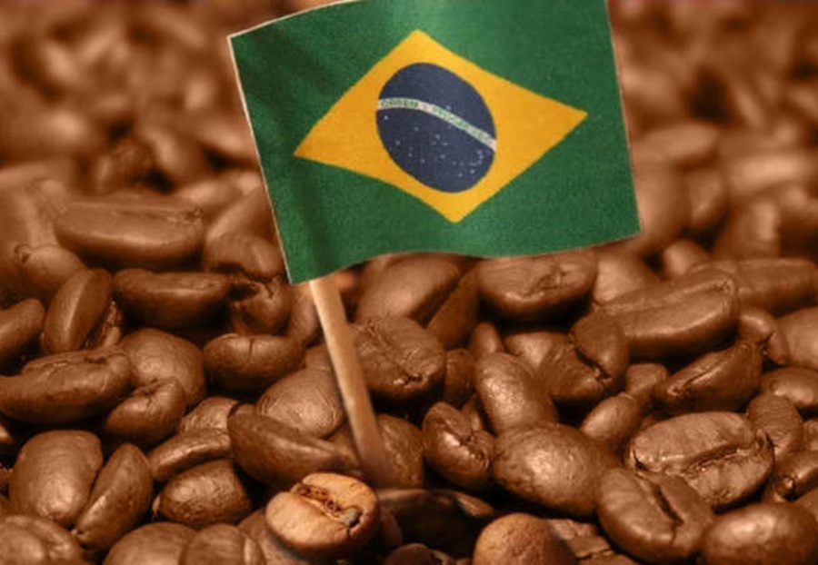 cafe-exportado-brasil