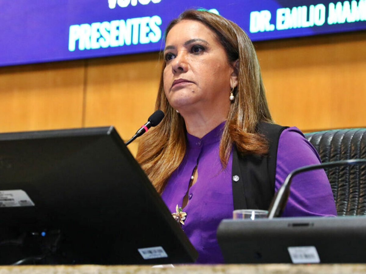 CPI-dos-Maus-Tratos-Contra-os-Animais-investiga-a-morte-de-15-gatos CPI-dos-Maus-Tratos-Contra-os-Animais-investiga-a-morte-de-15-gatos