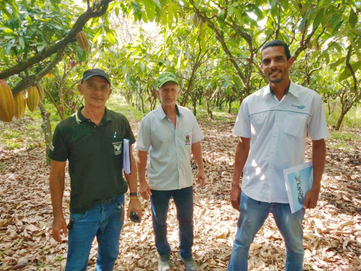 Concurso-de-Qualidade-de-Amendoas-de-Cacau-Capixaba-chega-a-etapa-de-visita-das-propriedades