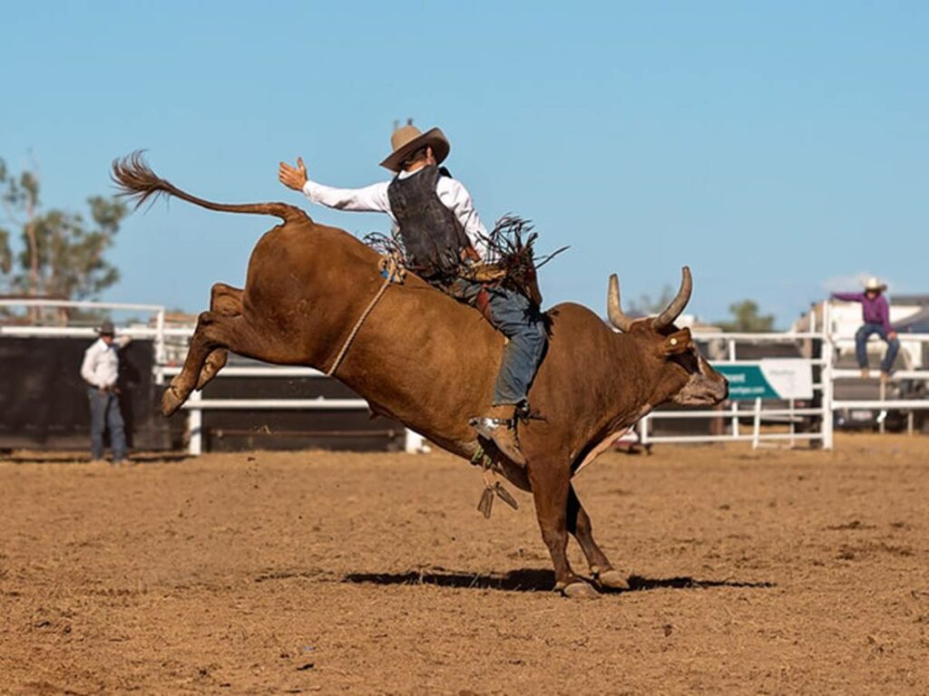 Festa-de-Rodeio-de-Venda-Nova-comeca-nesta-sexta-feira-12