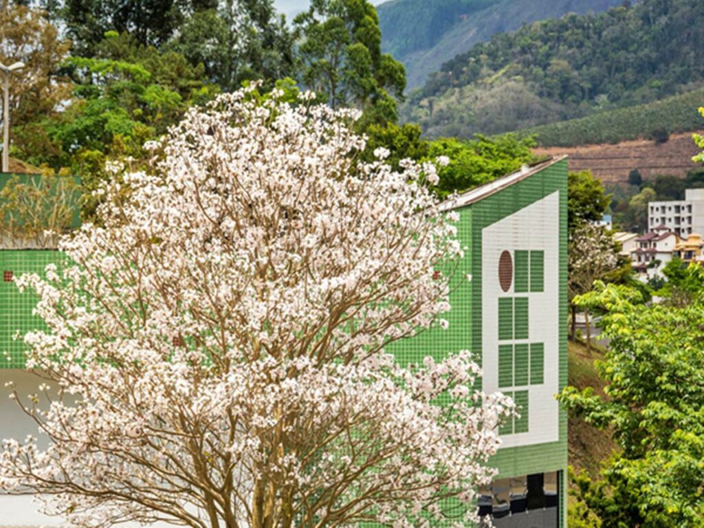 Ifes-Venda-Nova-promove-roda-de-conversa-com-empreendedores-de-Venda-Nova-Castelo-e-Ibatiba