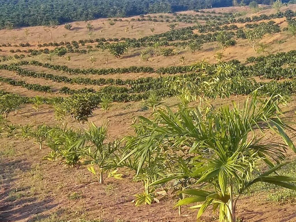 Prazo-para-declaracao-de-imposto-sobre-a-propriedade-territorial-rural-vai-ate-30-de-setembro