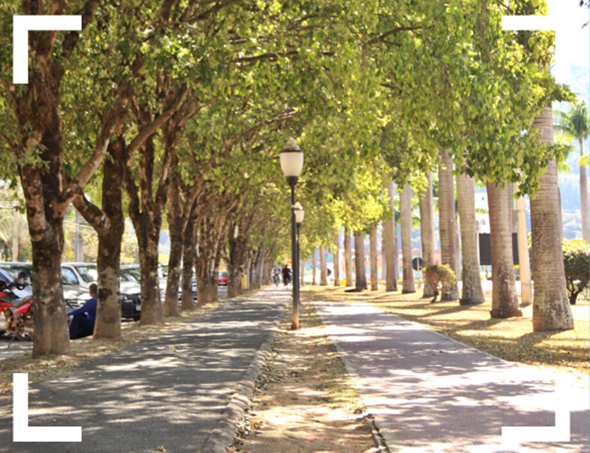 Prefeitura-de-Venda-Nova-realiza-III-concurso-de-fotografia-veja-como-participar Prefeitura-de-Venda-Nova-realiza-III-concurso-de-fotografia-veja-como-participar