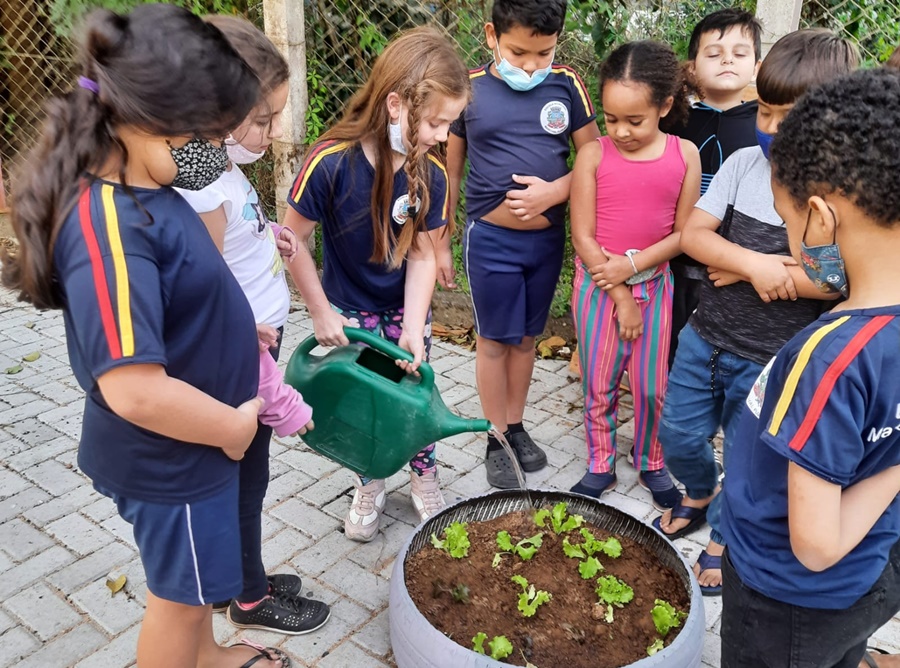 Professora-cria-horta-sustentavel-e-ensina-habitos-saudaveis-de-alimentacao-para-alunos-em-escola-de-Marechal-Floriano Professora-cria-horta-sustentavel-e-ensina-habitos-saudaveis-de-alimentacao-para-alunos-em-escola-de-Marechal-Floriano