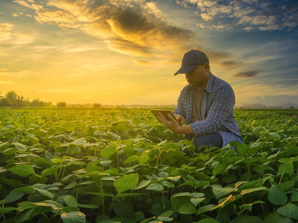 Projeto-Hubtech-vai-apoiar-trabalho-de-extensionistas-e-agricultores-familiares Projeto-Hubtech-vai-apoiar-trabalho-de-extensionistas-e-agricultores-familiares