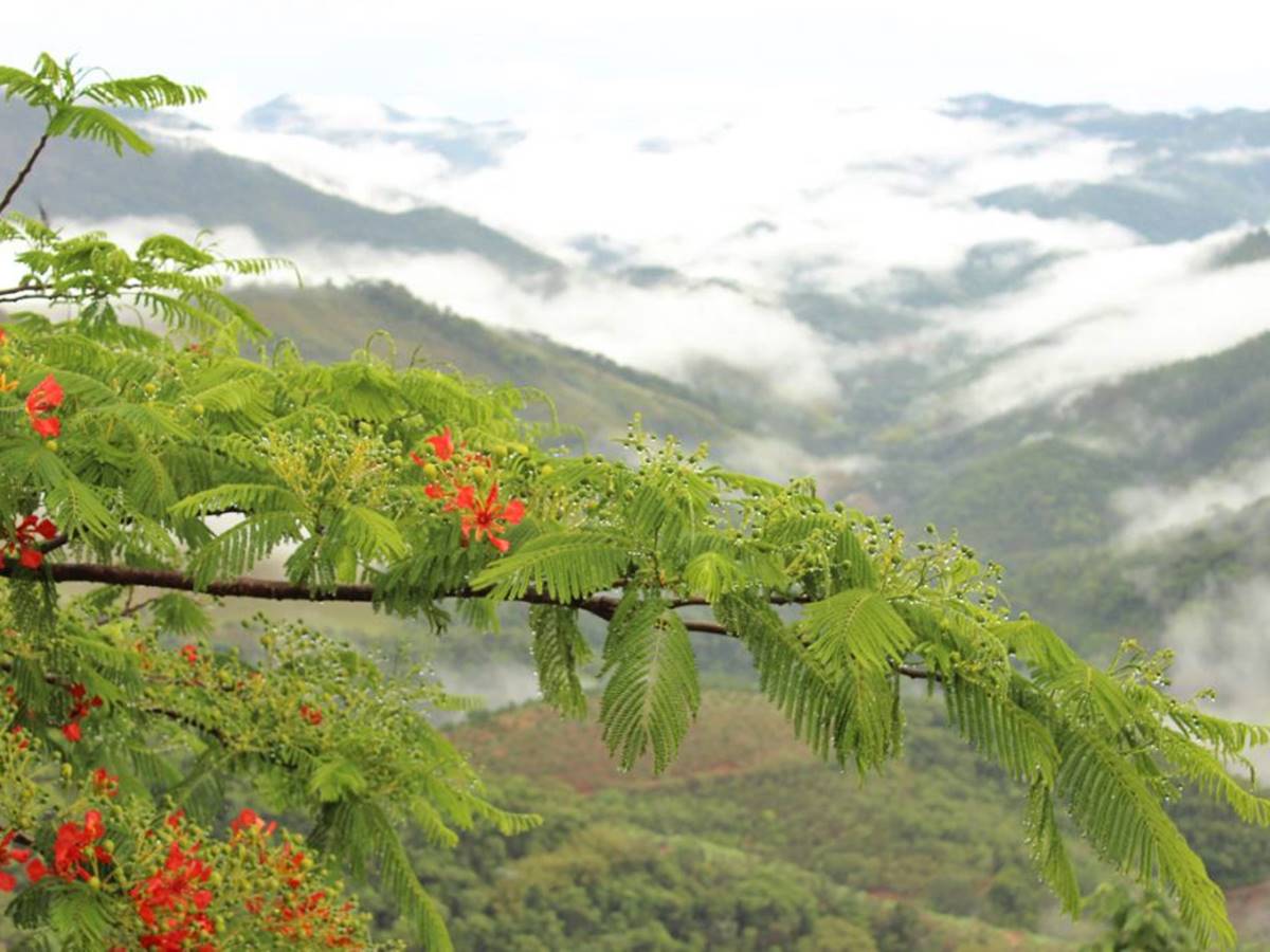 Semana-sera-de-frio-e-chuva-em-boa-parte-do-Brasil