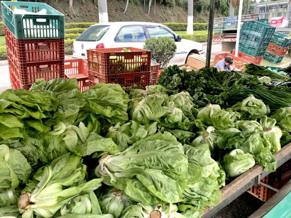 Boletim-da-Conab-indica-nova-queda-de-precos-das-hortalicas