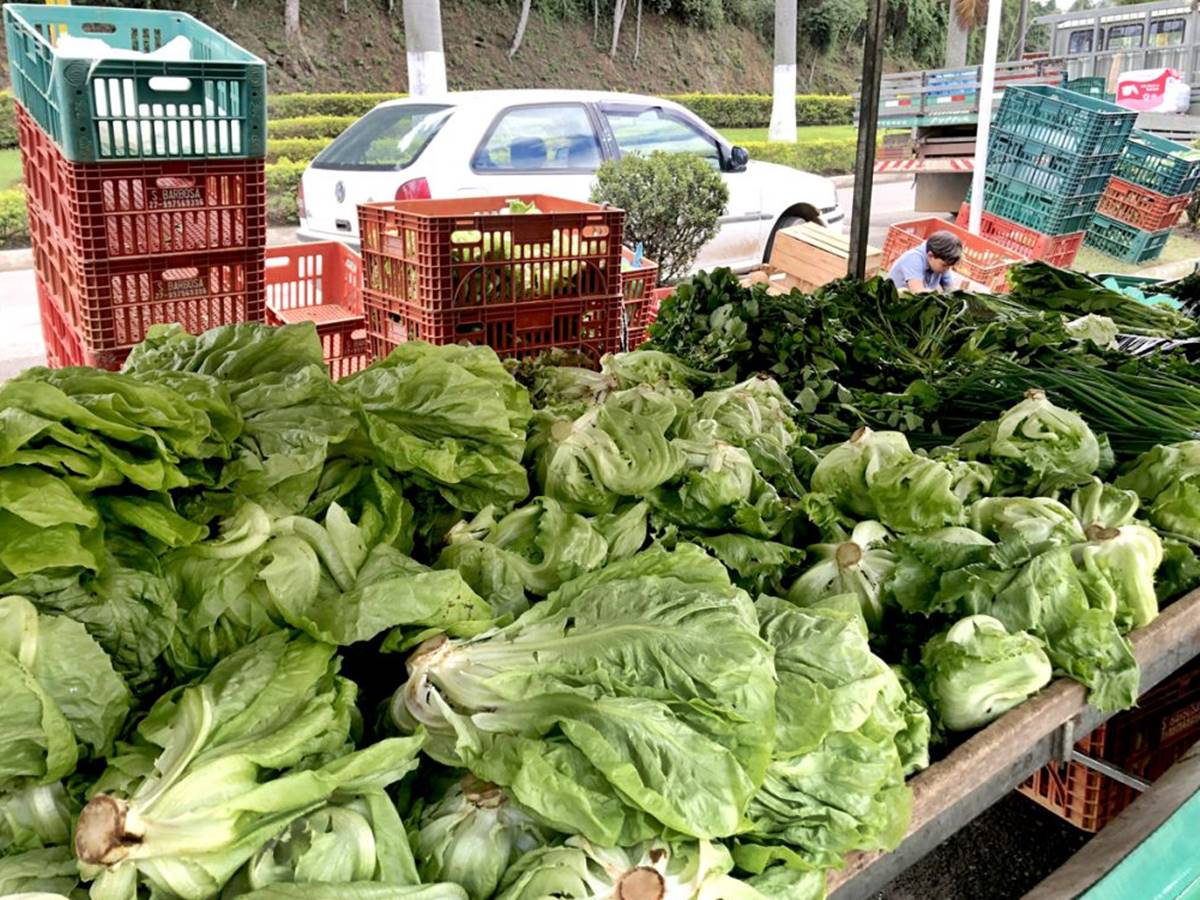Boletim-da-Conab-indica-nova-queda-de-precos-das-hortalicas Boletim-da-Conab-indica-nova-queda-de-precos-das-hortalicas