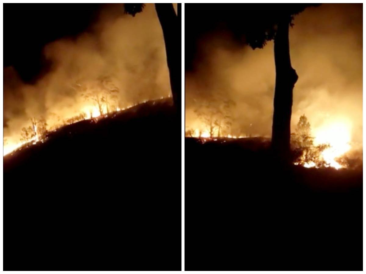 Incendio-assusta-moradores-em-Domingos-Martins
