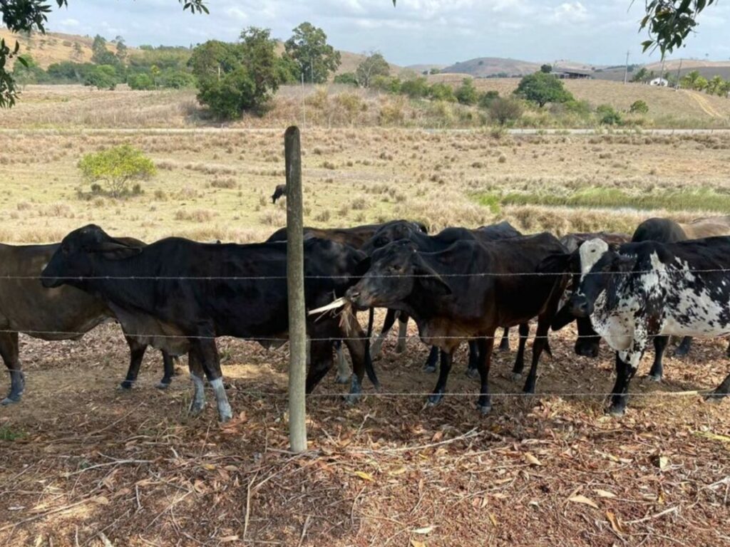 Itapemirim-decreta-situacao-de-emergencia-devido-a-estiagem