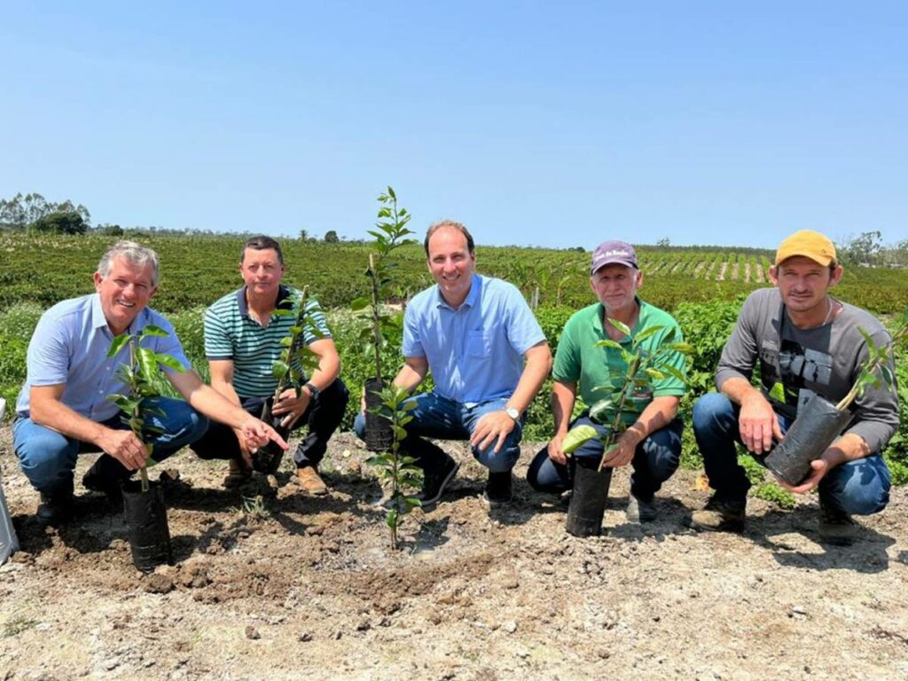 laranja-e-a-segunda-fruta-da-fase-de-expansao-do-Programa-de-Fruticultura