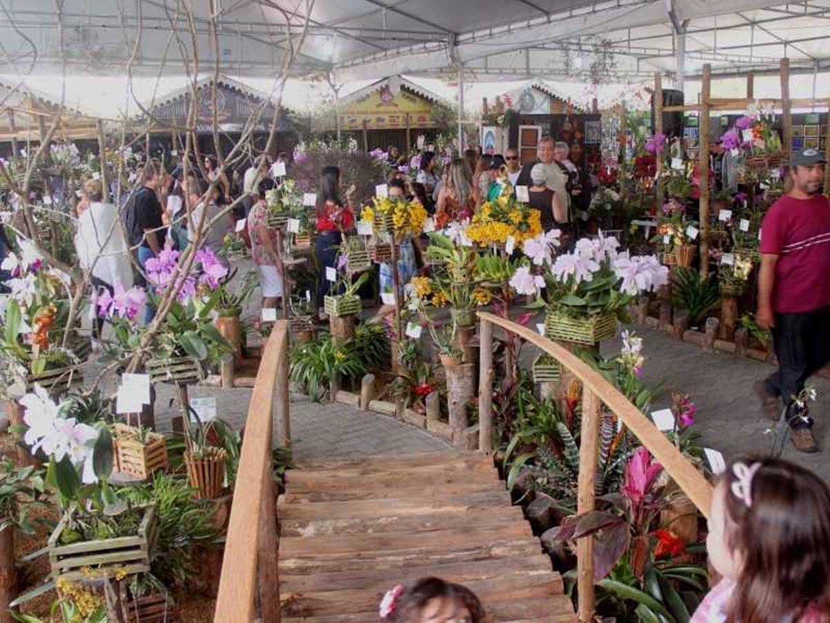 Blumenfest-a-Festa-das-Flores-nao-sera-realizada-neste-ano-em-Domingos-Martins Blumenfest-a-Festa-das-Flores-nao-sera-realizada-neste-ano-em-Domingos-Martins