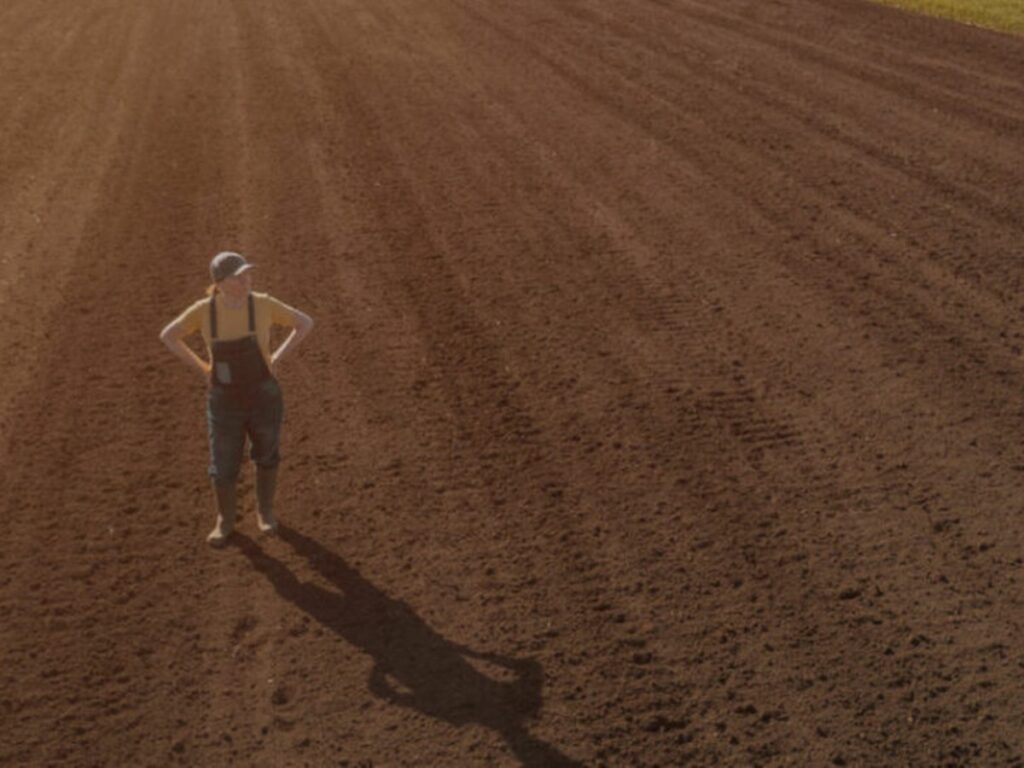 Brasil-cria-projeto-para-fortalecer-agronegocio-feminino