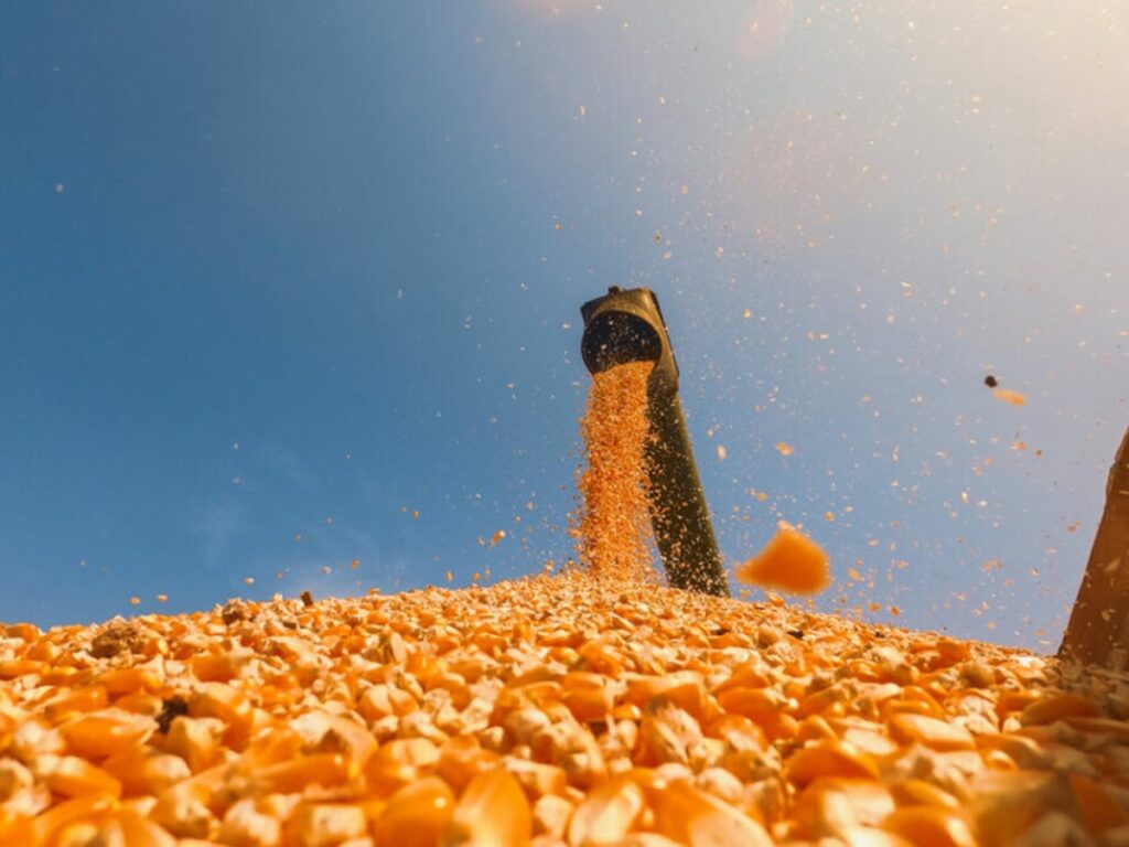 Conab-inicia-coleta-de-dados-para-o-2o-Levantamento-da-Safra-de-Graos-2022