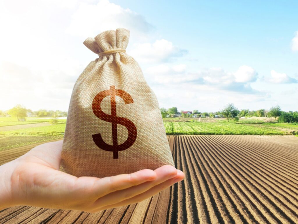 Contratacao-do-Credito-Rural-Banestes-triplica-em-comparacao-a-2021