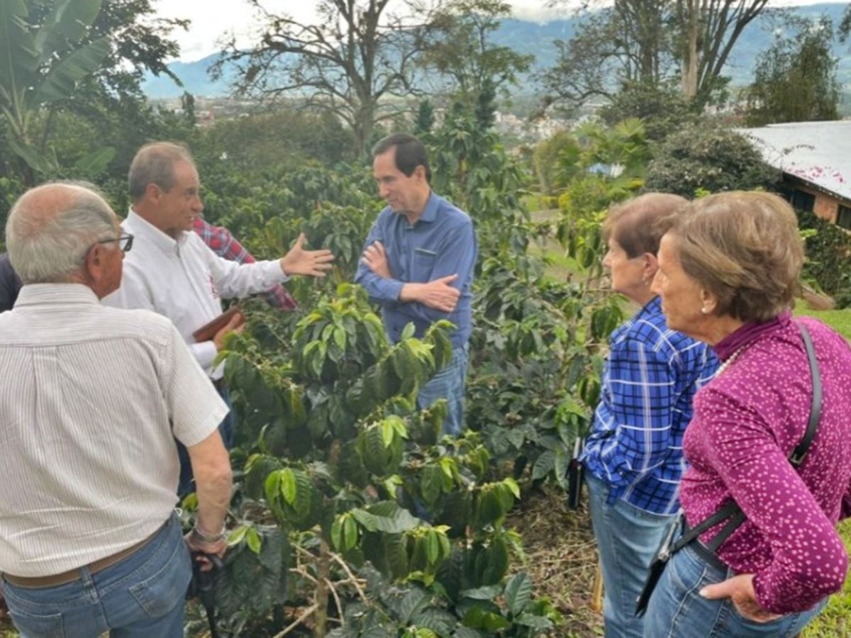 Grupo-brasileiro-visita-lavouras-de-cafe-na-Colombia