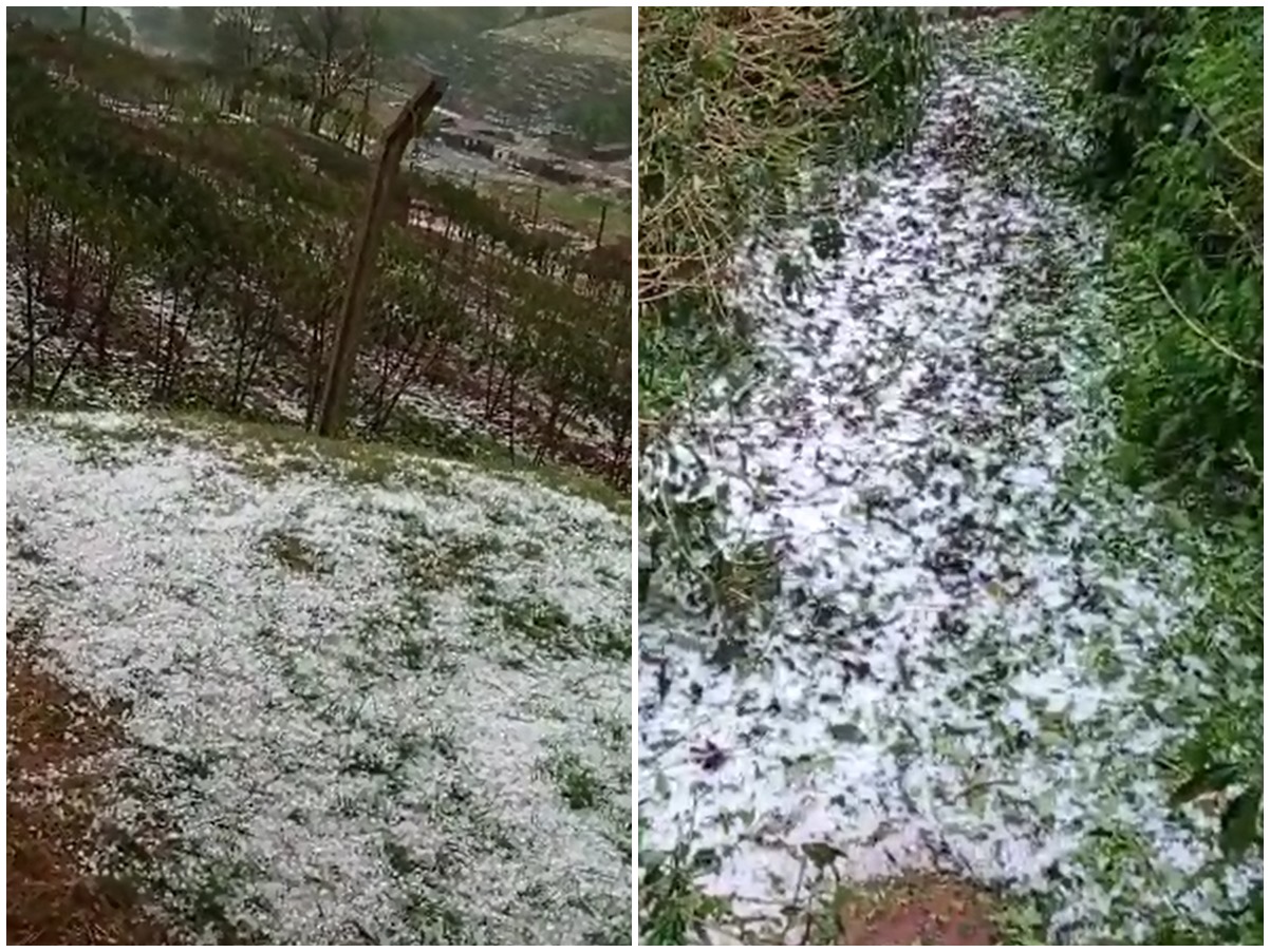 montagem-neve montagem-neve