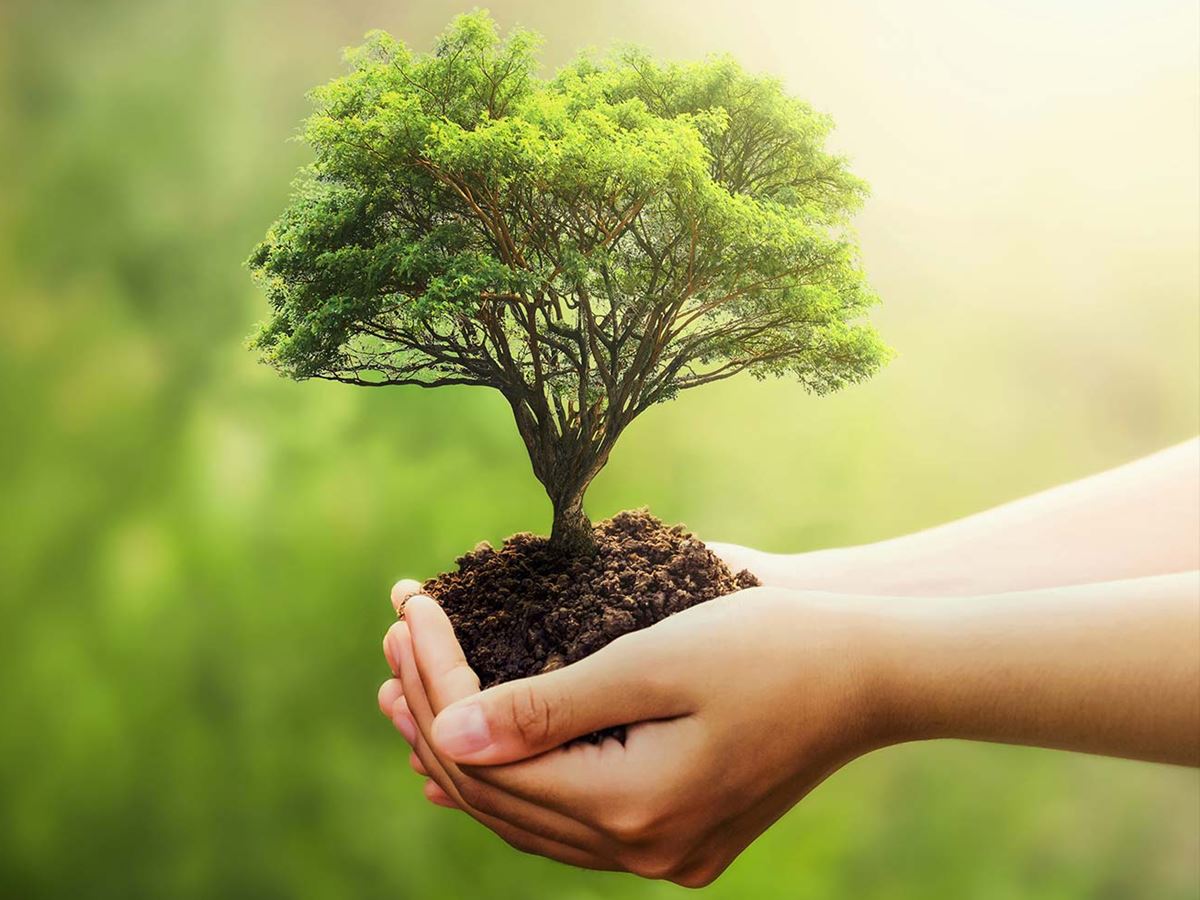 Energia-solar-e-sustentabilidade-no-comercio-entre-Brasil-e-paises-arabes-foram-destaques-desta-sexta-feira-1 Energia-solar-e-sustentabilidade-no-comercio-entre-Brasil-e-paises-arabes-foram-destaques-desta-sexta-feira-1