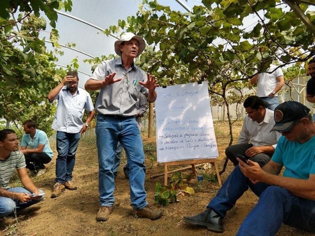 Inscricoes-abertas-para-concurso-publico-do-Incaper