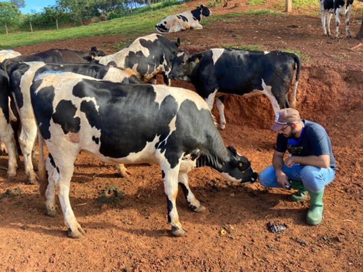 Mapa-propoe-grupo-de-trabalho-para-implementacao-do-AgroResidencia-em-parceria-com-o-MEC
