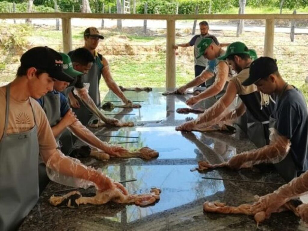 Senar-ES-oferece-140-treinamentos-para-o-mes-de-novembro-no-Estado