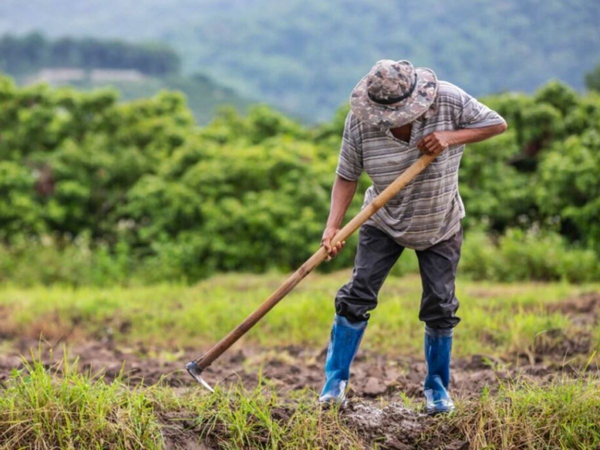 Inscricao-no-Cadastro-Nacional-da-Agricultura-Familiar-e-ampliada