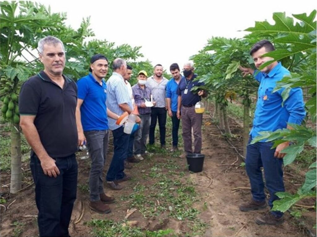 Linhares-sedia-curso-sobre-Monitoramento-de-moscas-das-frutas-em-mamoeiros
