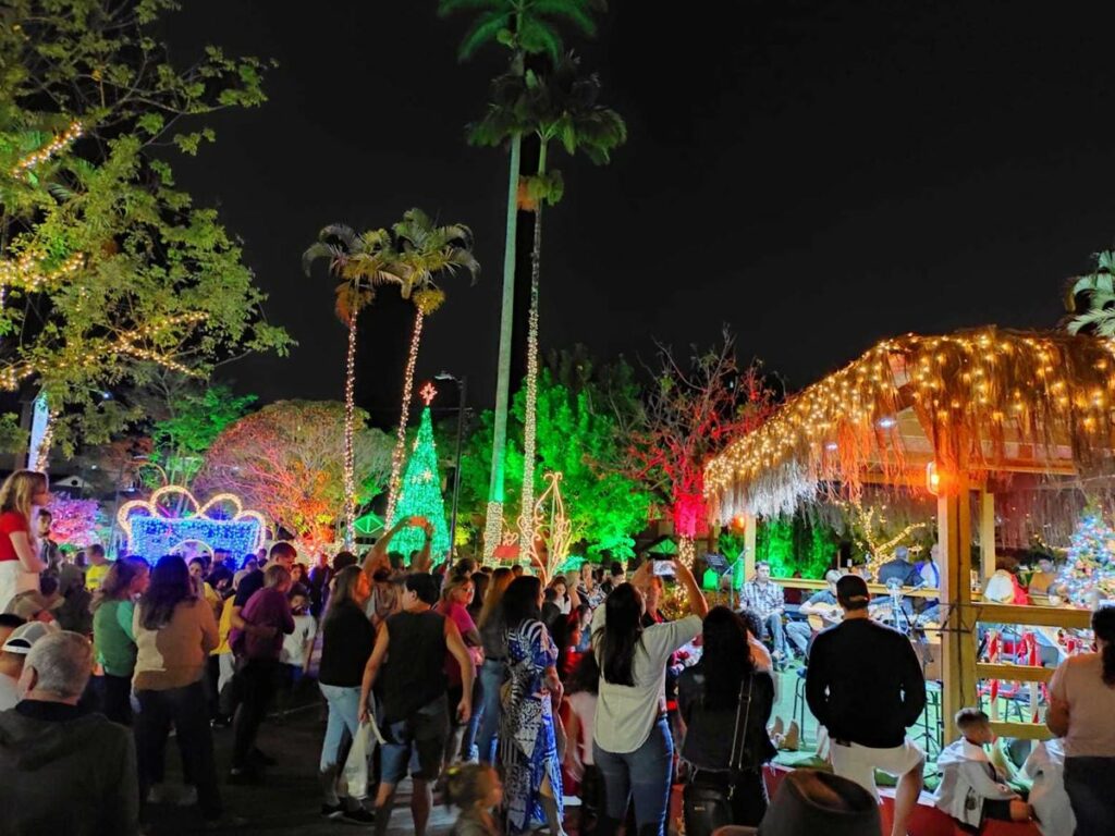 Ultimos-dias-para-conferir-a-decoracao-especial-do-Brilho-de-Natal-em-Domingos-Martins