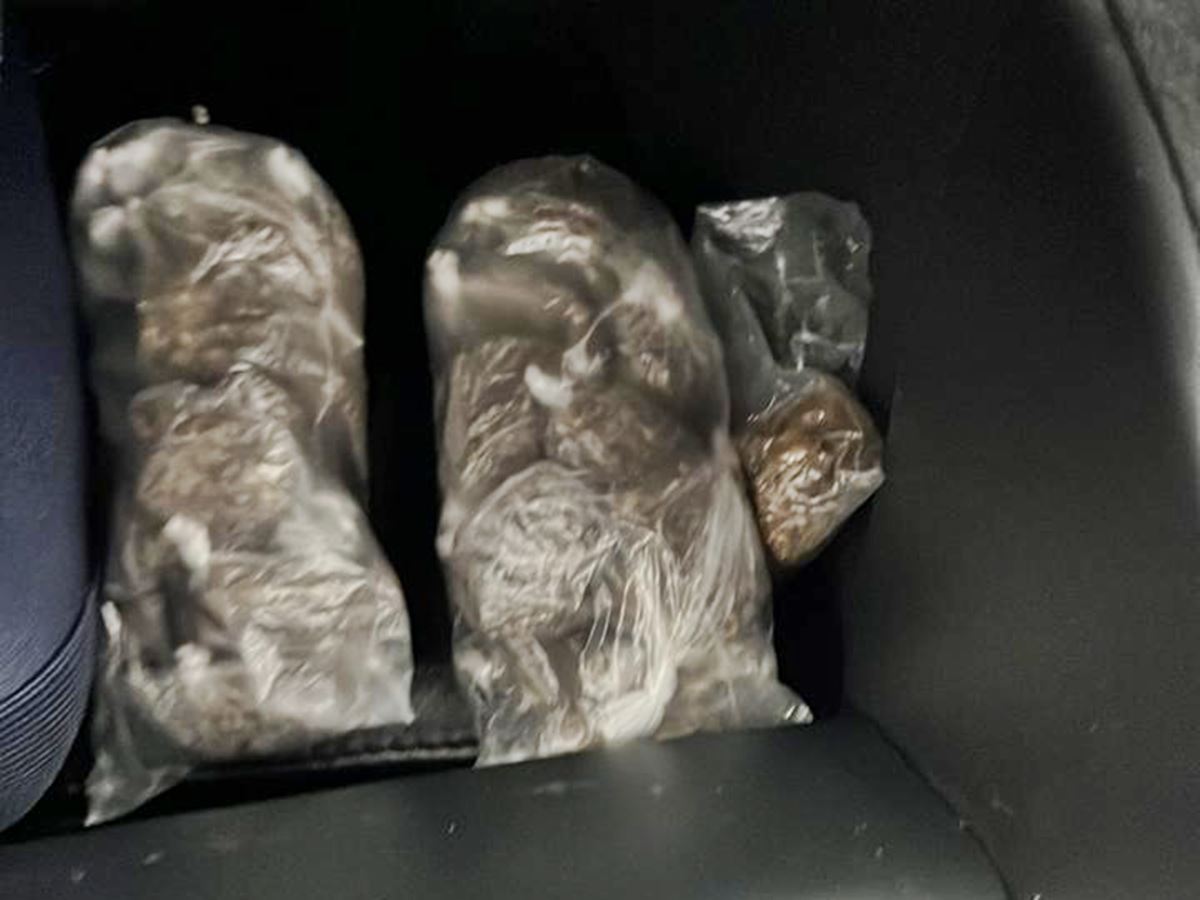 Homem-e-preso-com-drogas-escondidas-em-geladeira-em-Venda-Nova-do-Imigrante Homem-e-preso-com-drogas-escondidas-em-geladeira-em-Venda-Nova-do-Imigrante