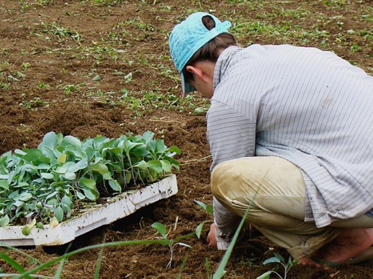 Nater-Coop-abre-inscricoes-para-o-primeiro-desafio-do-seu-Programa-de-Inovacao-Aberta Nater-Coop-abre-inscricoes-para-o-primeiro-desafio-do-seu-Programa-de-Inovacao-Aberta