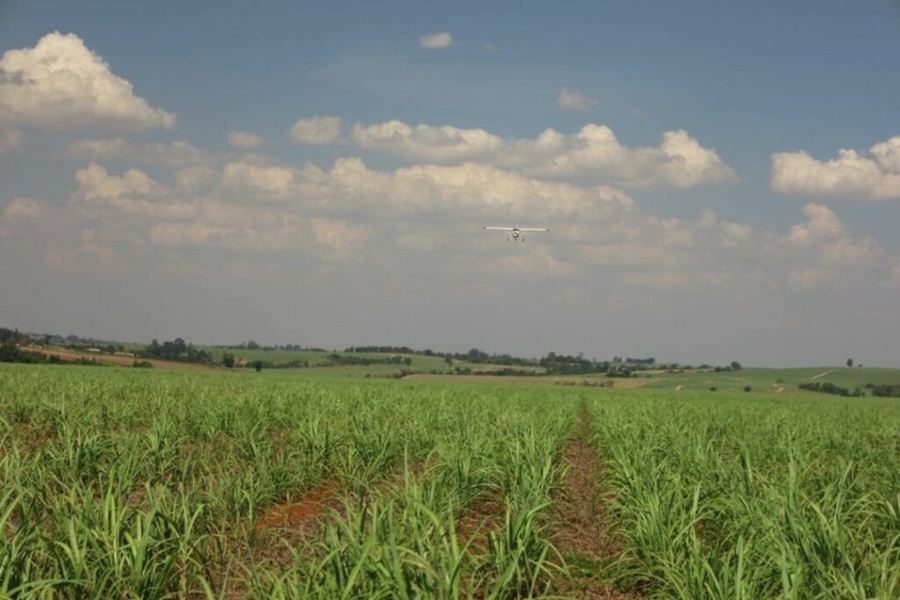 Brasil-tem-a-segunda-maior-frota-de-avioes-agricolas-do-mundo Brasil-tem-a-segunda-maior-frota-de-avioes-agricolas-do-mundo
