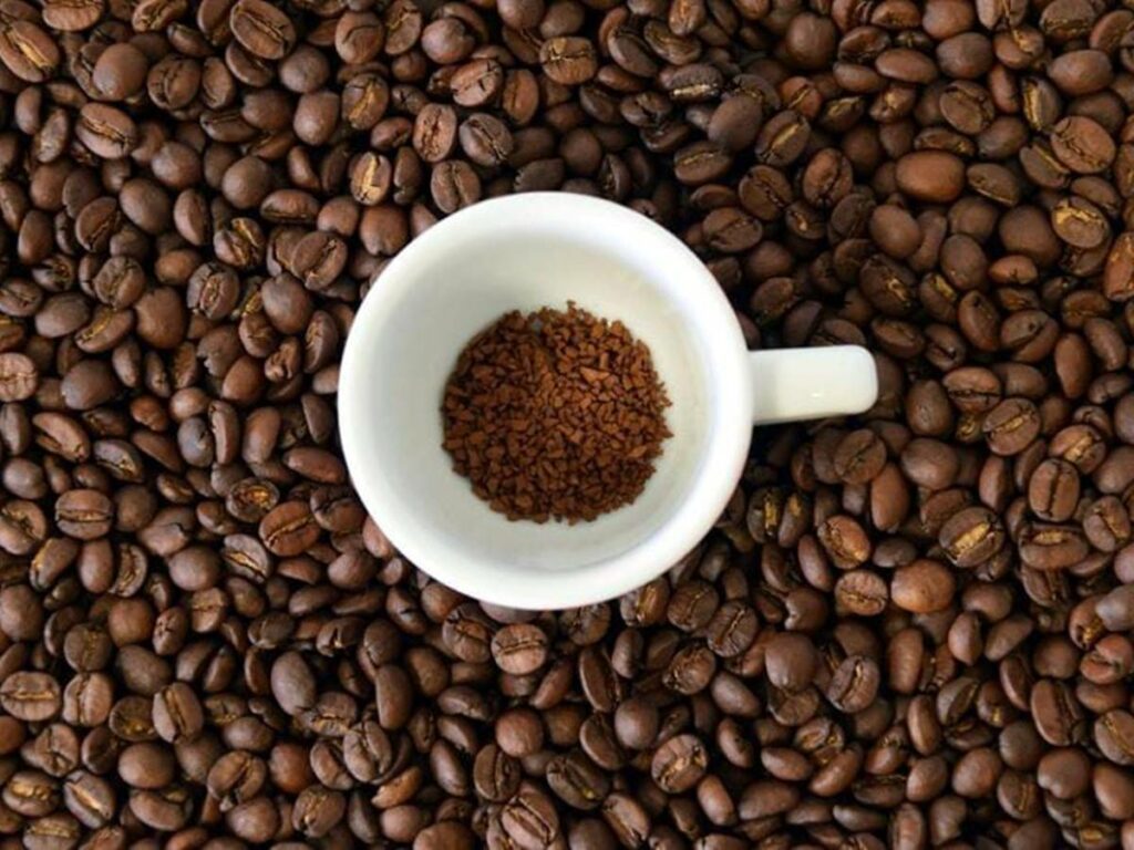 Idaf-anuncia-concurso-publico-para-primeiro-semestre-de-2023