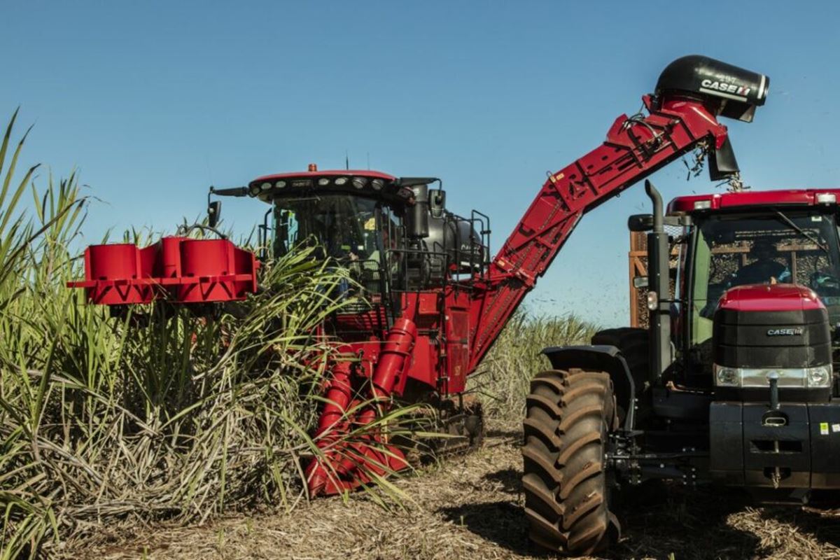 Produtores-buscam-mecanizar-colheita-para-aumentar-produtividade-da-cana-de-acucar Produtores-buscam-mecanizar-colheita-para-aumentar-produtividade-da-cana-de-acucar