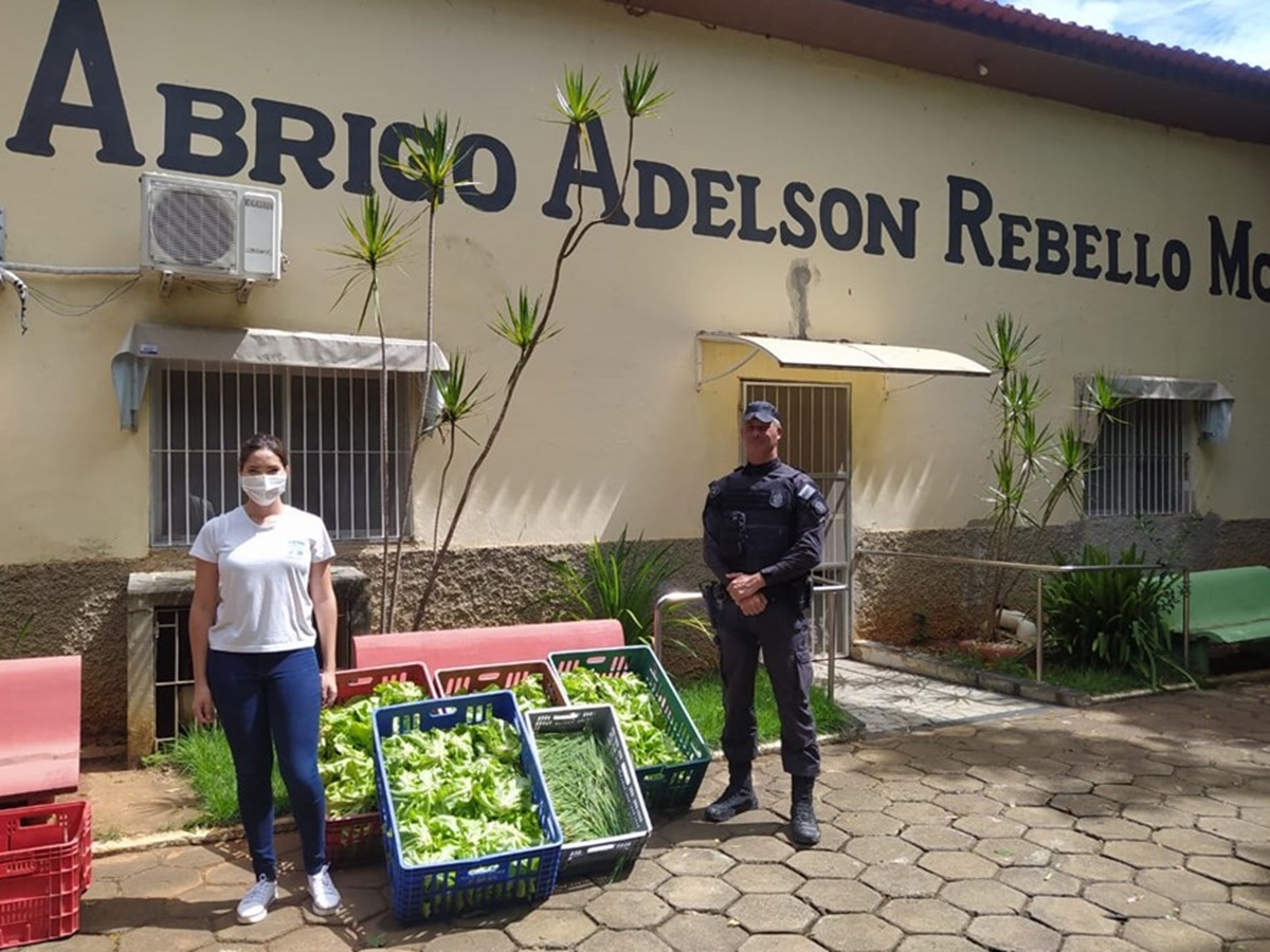 Unidade-prisional-realiza-doacoes-de-verduras-a-instituicoes-de-Cachoeiro-de-Itapemirim Unidade-prisional-realiza-doacoes-de-verduras-a-instituicoes-de-Cachoeiro-de-Itapemirim