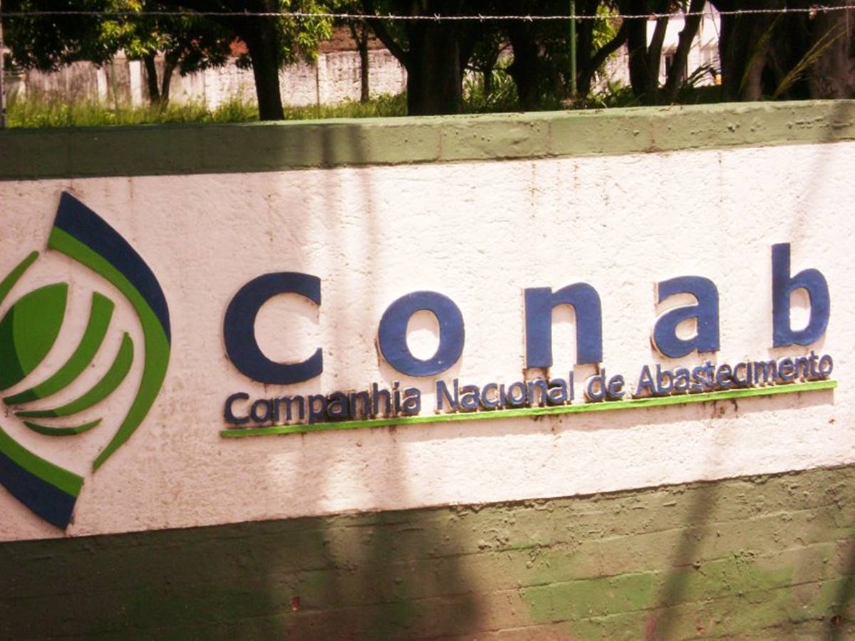 Conab-lanca-leilao-para-aquisicao-de-12.692-cestas-de-alimentos-para-atendimento-aos-Yanomamis Conab-lanca-leilao-para-aquisicao-de-12.692-cestas-de-alimentos-para-atendimento-aos-Yanomamis
