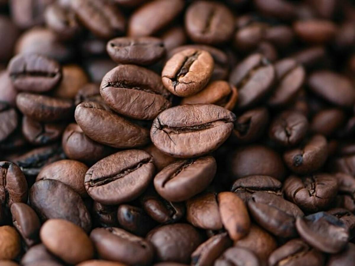 Projeto-preve-a-criacao-da-Politica-Nacional-de-Incentivo-a-Producao-de-Cafe-de-Qualidade Projeto-preve-a-criacao-da-Politica-Nacional-de-Incentivo-a-Producao-de-Cafe-de-Qualidade