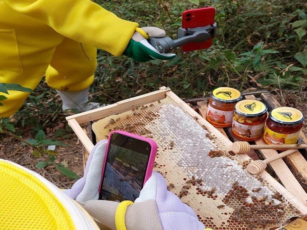 RuralturES-vai-promover-experiencias-no-turismo-rural-com-degustacao-de-mel-e-morangos