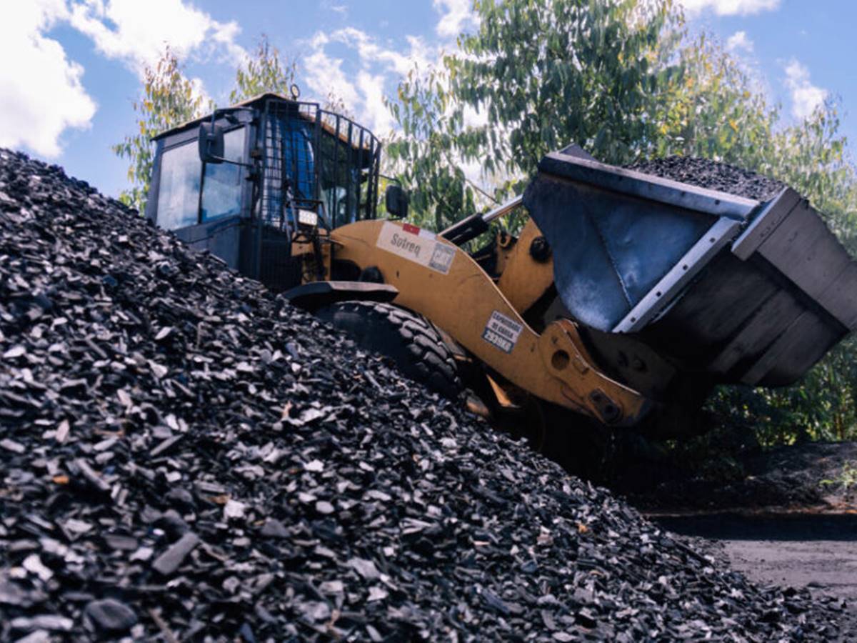 Biochar-o-ouro-negro-que-remove-dioxido-de-carbono-da-atmosfera-e-melhora-condicoes-do-solo