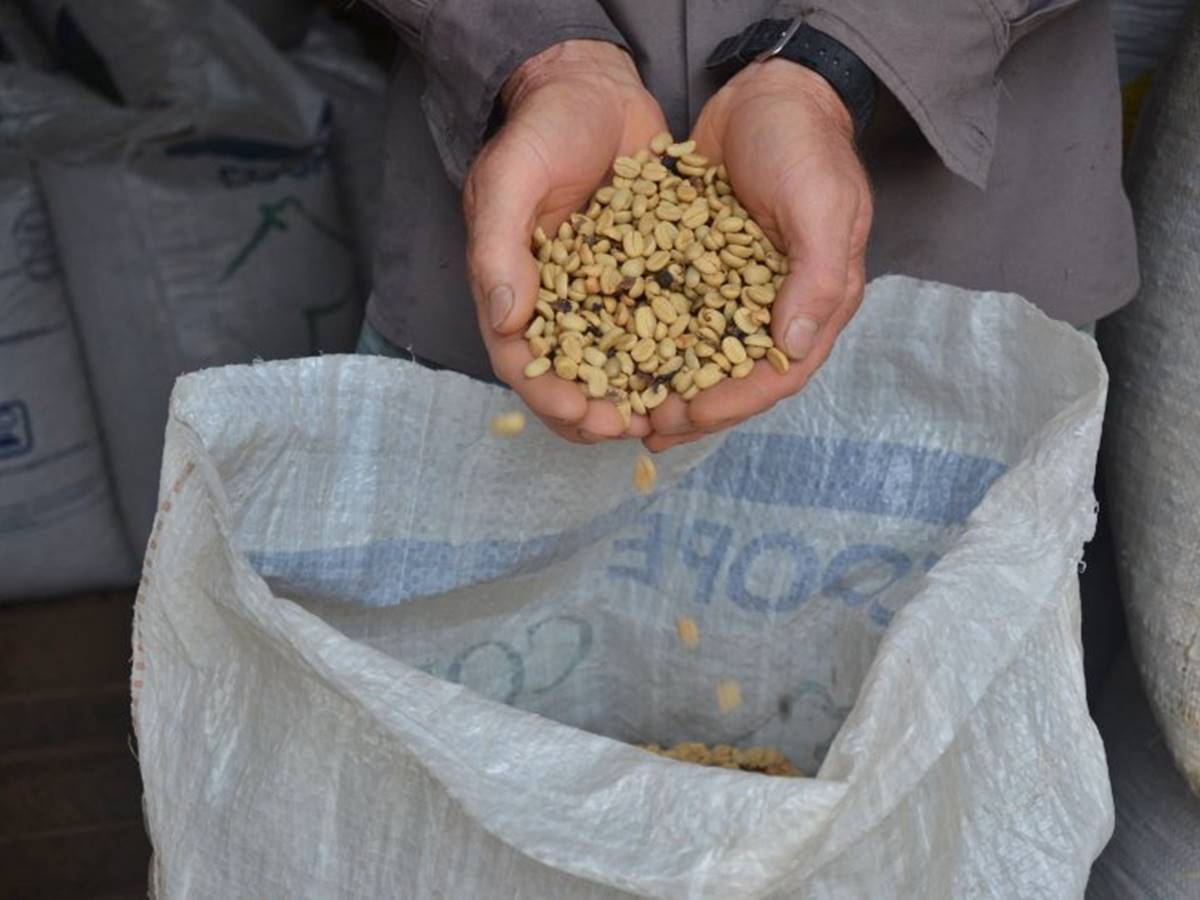 Como-fidelizar-produtores-de-cafe-no-fornecimento-a-cooperativa Como-fidelizar-produtores-de-cafe-no-fornecimento-a-cooperativa