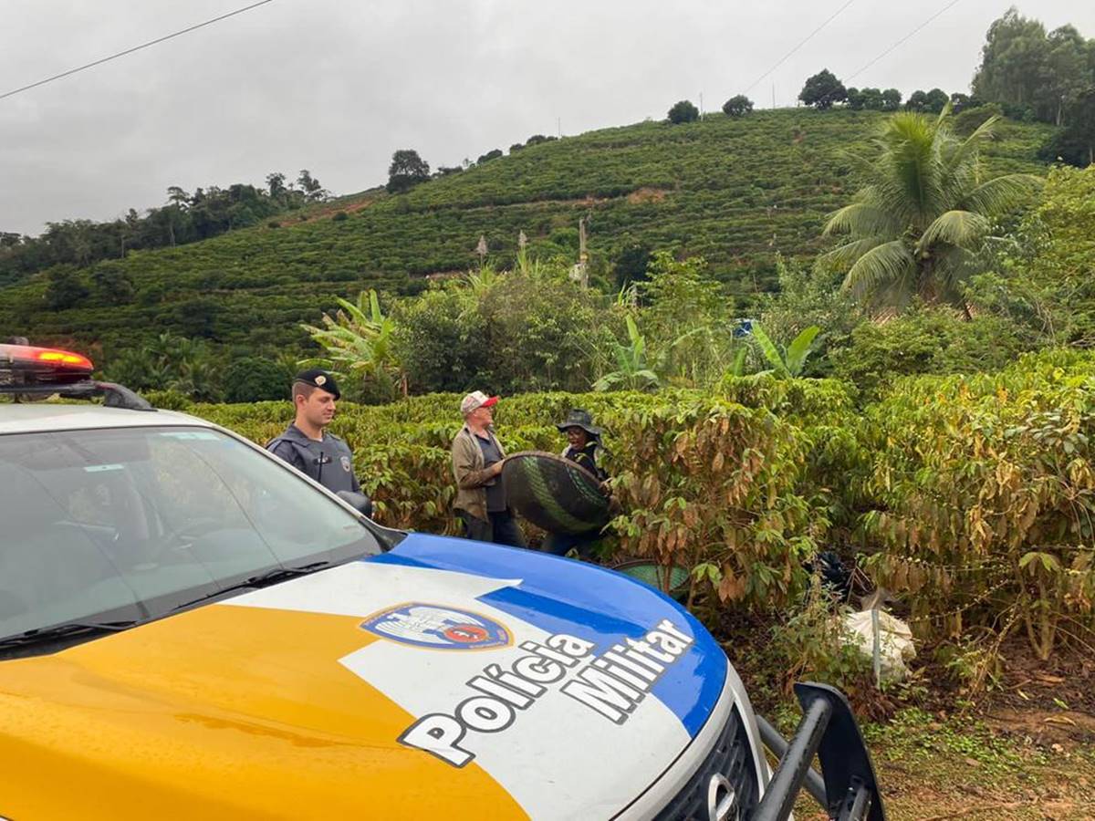 Governo-do-Estado-lanca-Operacao-Colheita-2023-2 Governo-do-Estado-lanca-Operacao-Colheita-2023-2