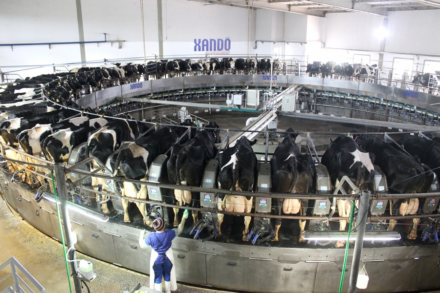 O-agro-brasileiro-esta-cada-vez-mais-tecnologico-e-acessivel O-agro-brasileiro-esta-cada-vez-mais-tecnologico-e-acessivel