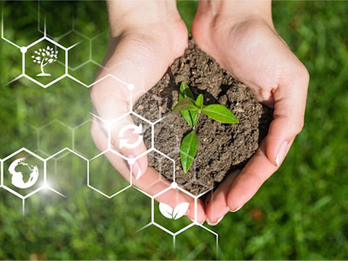 O-solo-saudavel-facilita-a-agricultura-sustentavel O-solo-saudavel-facilita-a-agricultura-sustentavel