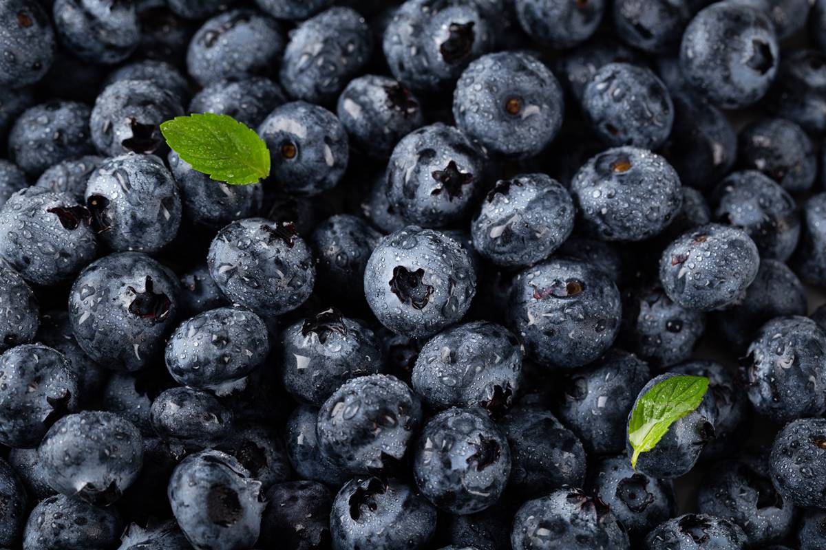 Brasil-contabiliza-a-abertura-de-20-mercados-para-produtos-do-agro-em-2023 Brasil-contabiliza-a-abertura-de-20-mercados-para-produtos-do-agro-em-2023