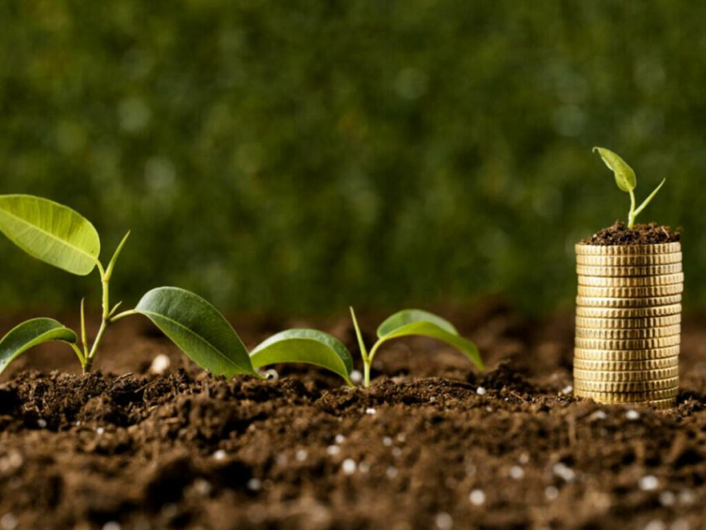 Confederacao-agro-afirma-que-financiamento-para-o-setor-agropecuario-e-prioridade