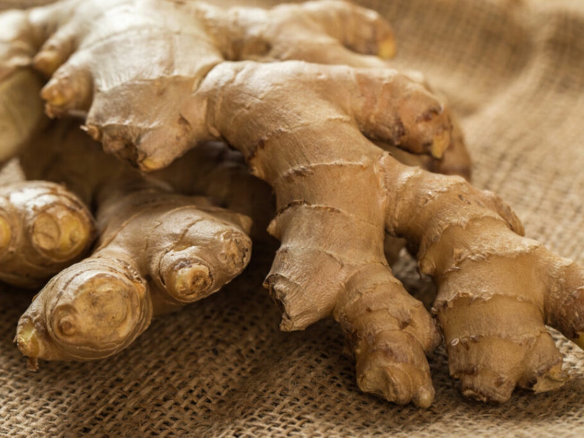 Expo-Gengibre-tera-feira-da-agricultura-familiar-gastronomia-e-shows-musicais-1