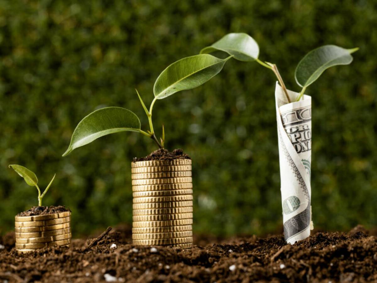 Linha-de-financiamento-rural-em-dolar-tera-mais-R-2-bilhoes-disponiveis-aos-agricultores Linha-de-financiamento-rural-em-dolar-tera-mais-R-2-bilhoes-disponiveis-aos-agricultores