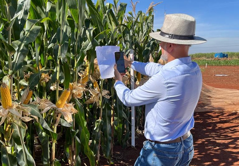 Plataforma-colaborativa-auxilia-o-produtor-na-comprovacao-de-dados-para-requerer-recursos-do-Plano-Safra