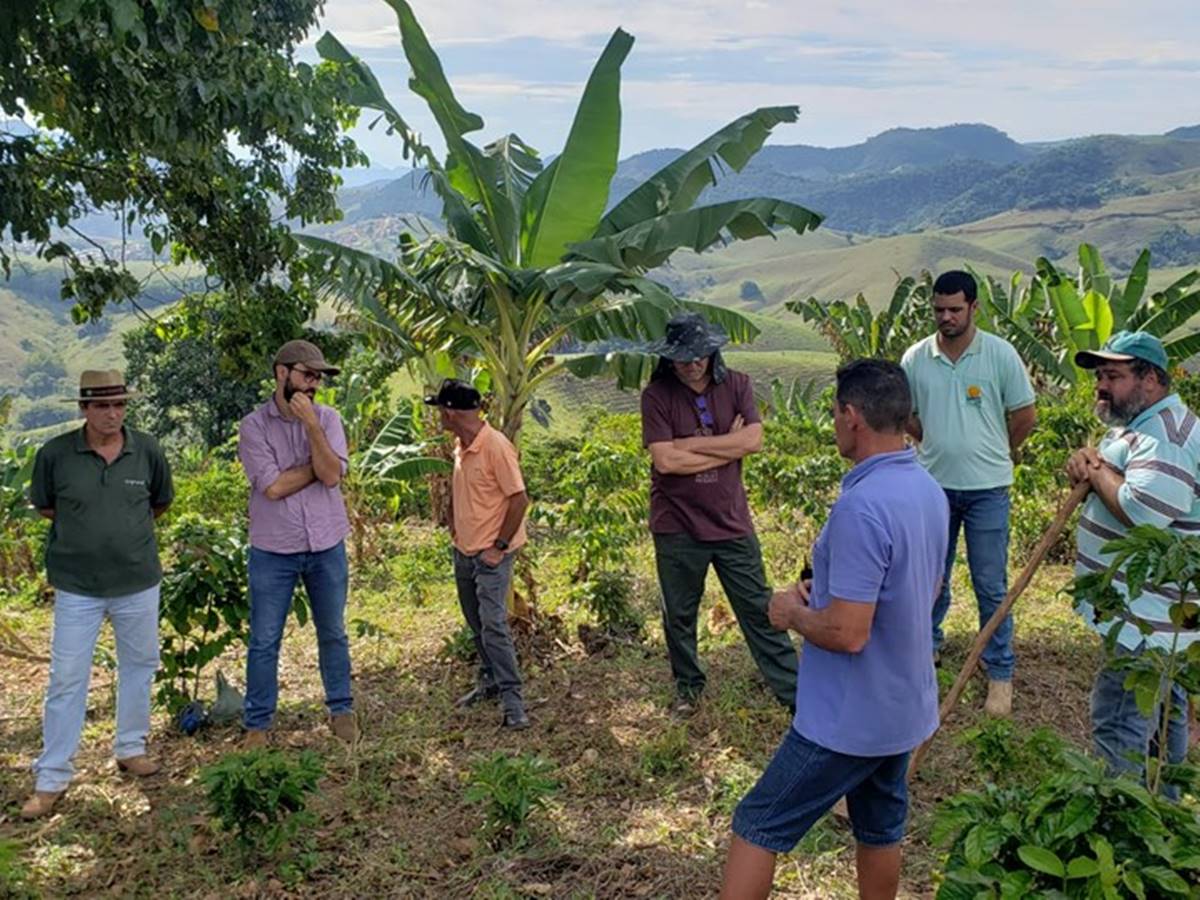 Projeto-incentiva-adocao-de-Sistemas-Agroflorestais-em-propriedades-do-Espirito-Santo Projeto-incentiva-adocao-de-Sistemas-Agroflorestais-em-propriedades-do-Espirito-Santo
