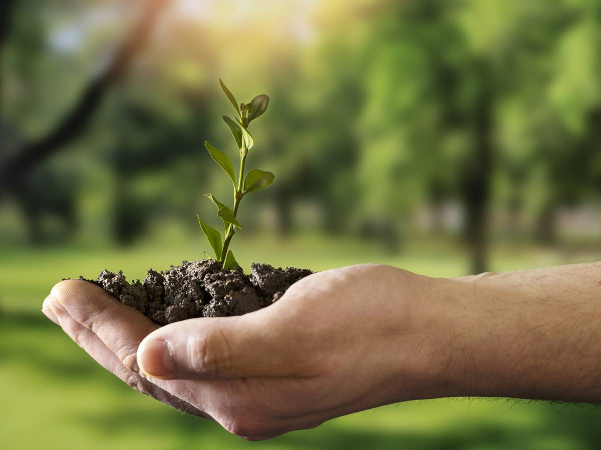 sustentabilidade sustentabilidade