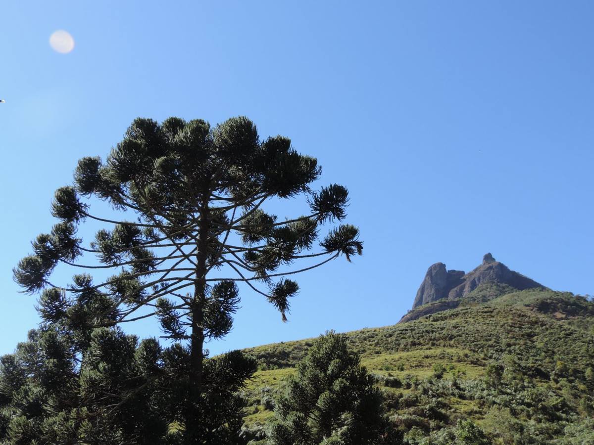 pedra-selada